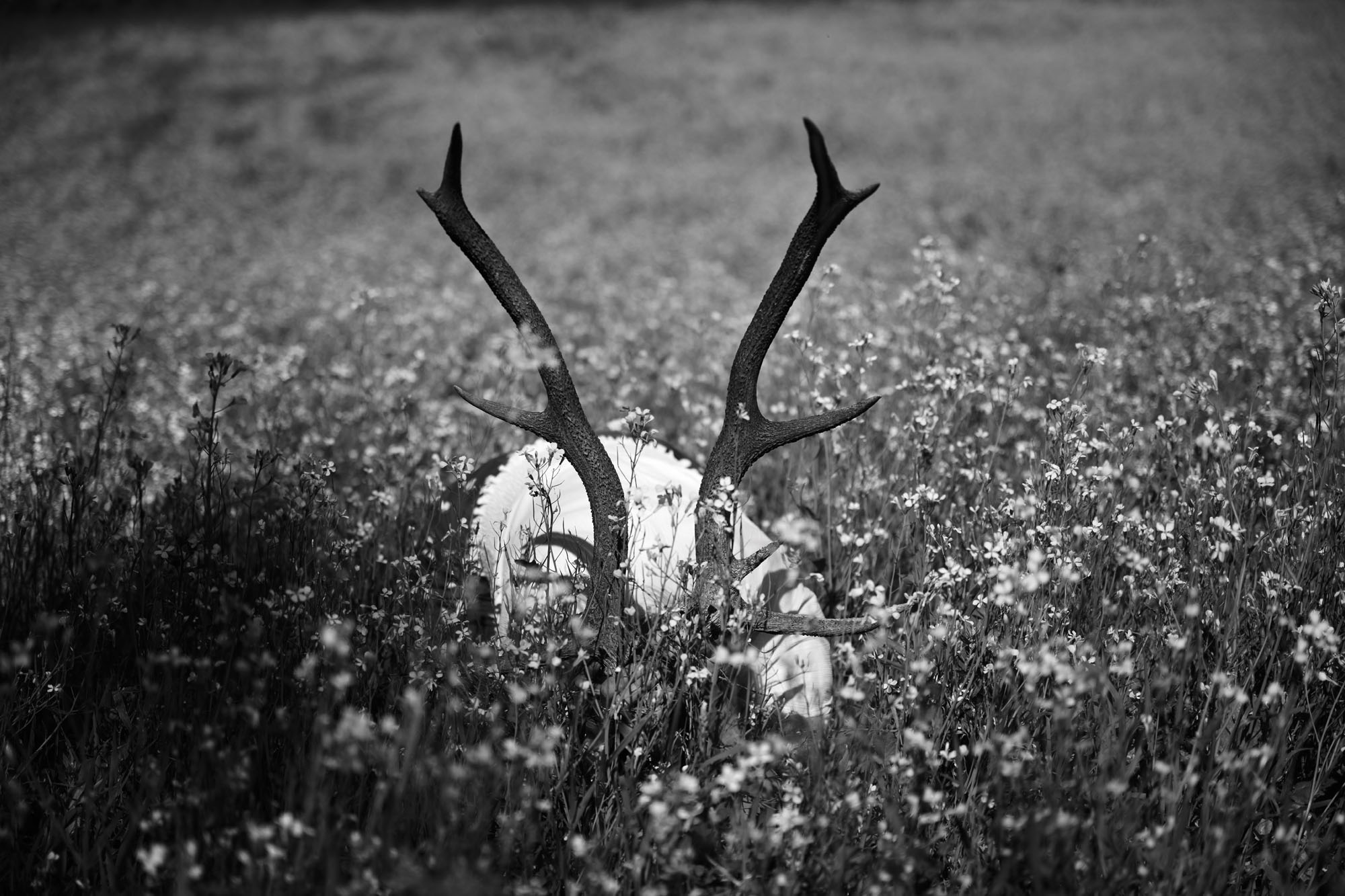 Ular porno jurnallarga qarashadi